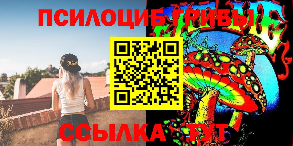 Галлюциногенные грибы Psilocybine cubensis Коркино