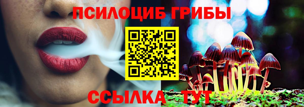Галлюциногенные грибы Magic Shrooms  Вход с VPN  Галлюциногенные грибы MAGIC MUSHROOMS  где купить наркоту  Коркино 